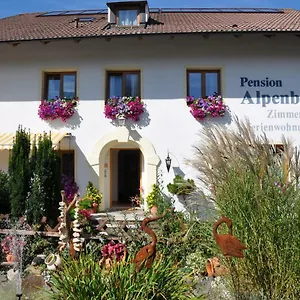  Homestay Gaestehaus Alpenblick